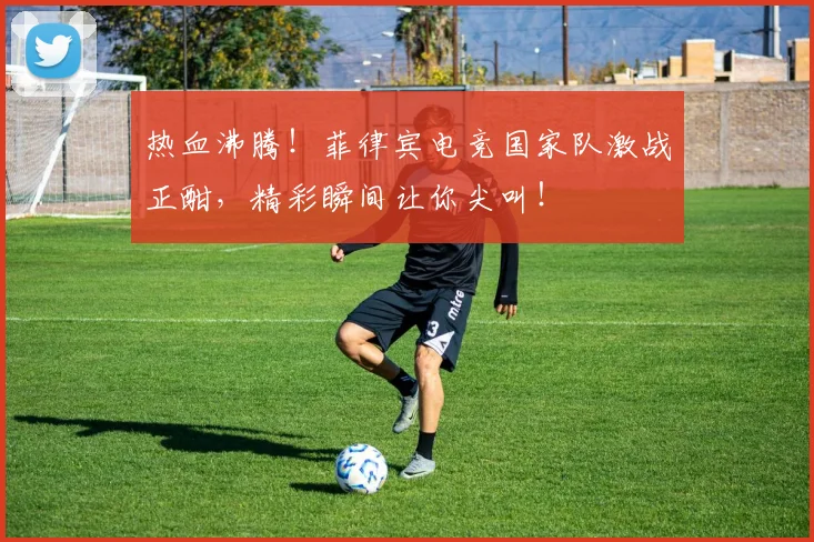 热血沸腾!菲律宾电竞国家队激战正酣,精彩瞬间让你尖叫!